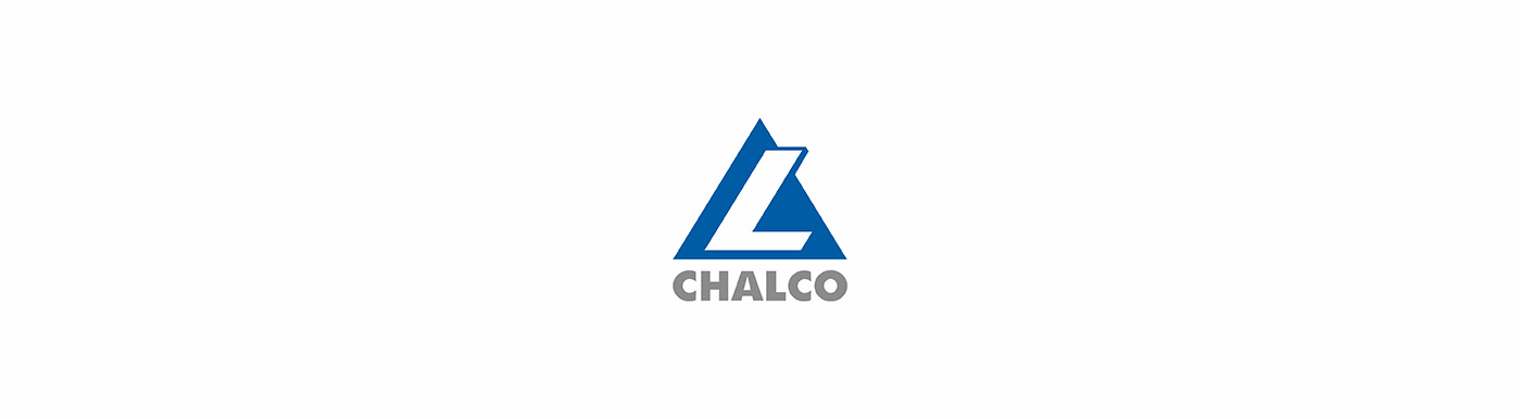 百强公司logo设计