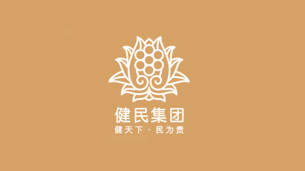 健民集团logo与vi设计