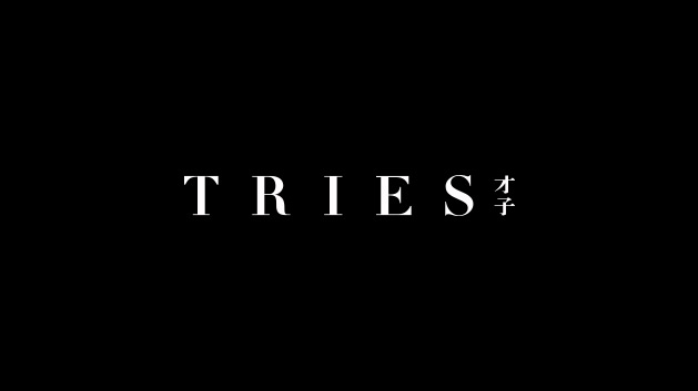 Tries才子服饰logo 服装品牌设计 才子男装品牌logo 服装vi设计 力英品牌设计顾问公司