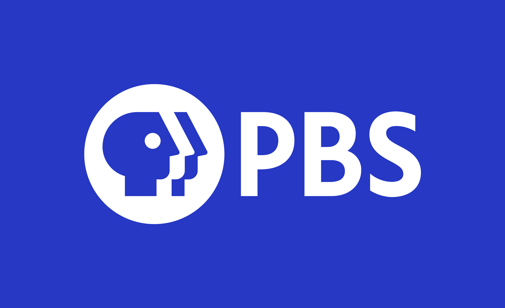 PBS新标志设计力英品牌设计顾问公司