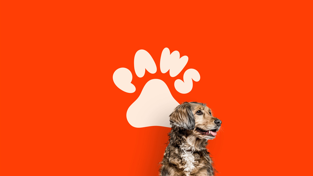 Paws应用002