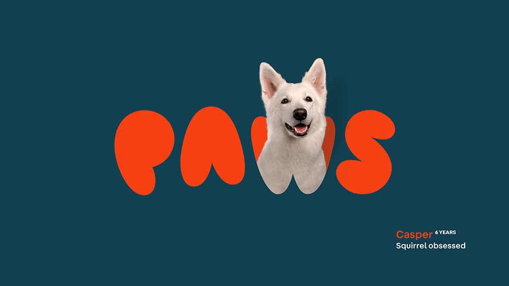 Paws应用003