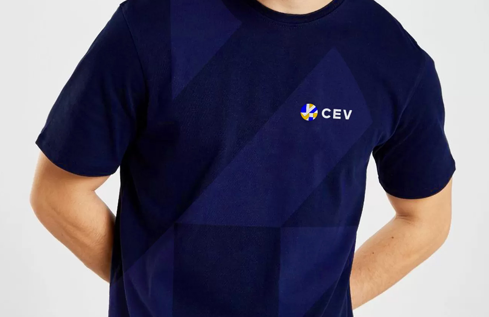 CEV应用006