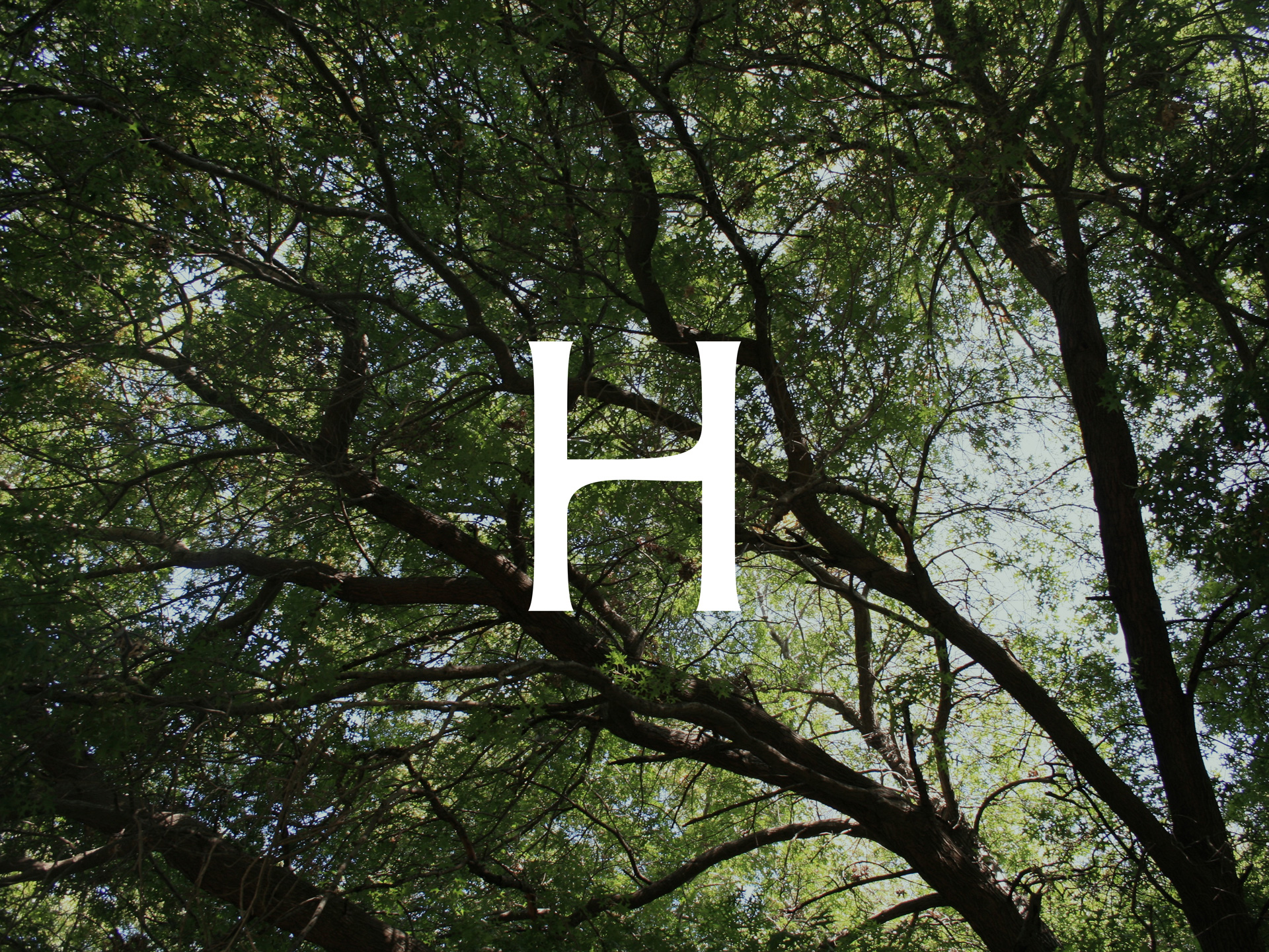 Hamran应用002