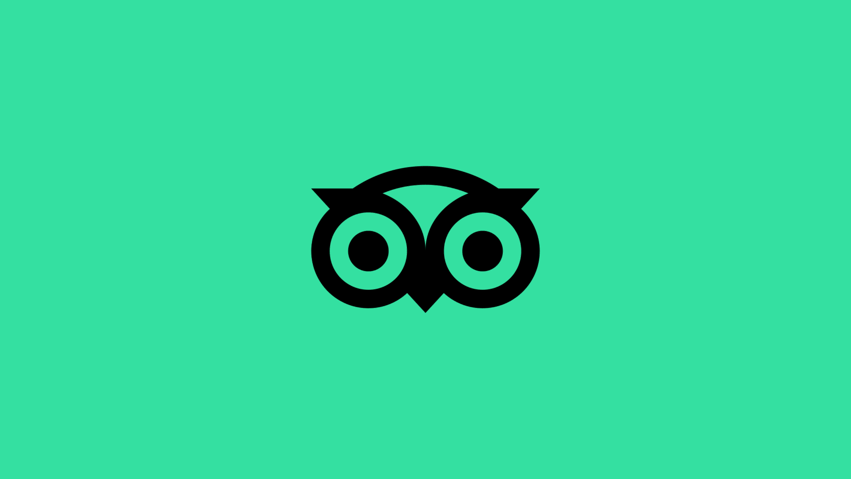 Tripadvisor应用004