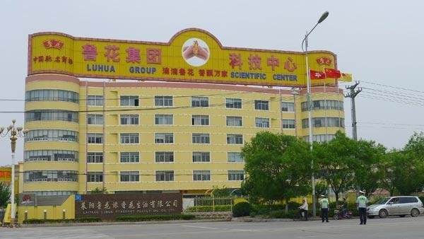 鲁花集团商标应用003