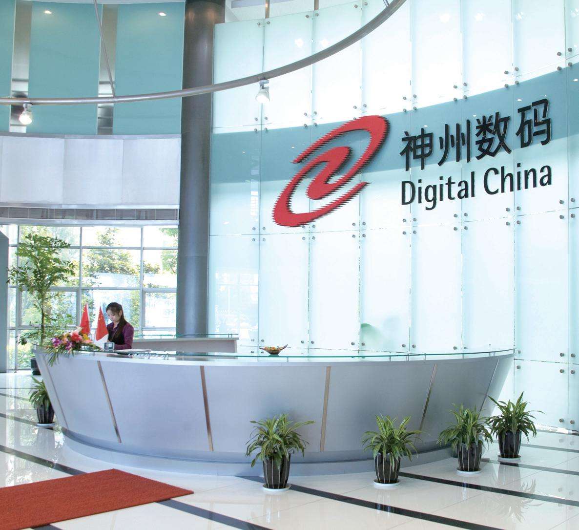 神州数码商标-信息技术企业品牌vi及logo设计