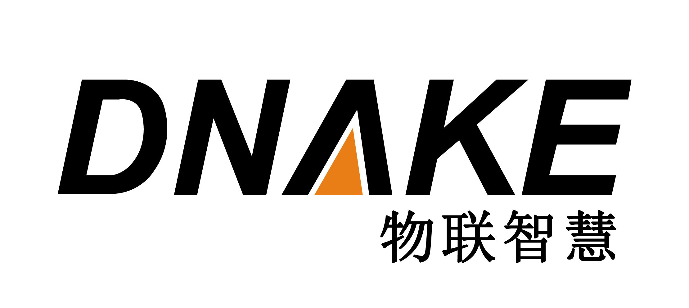 狄耐克logo设计