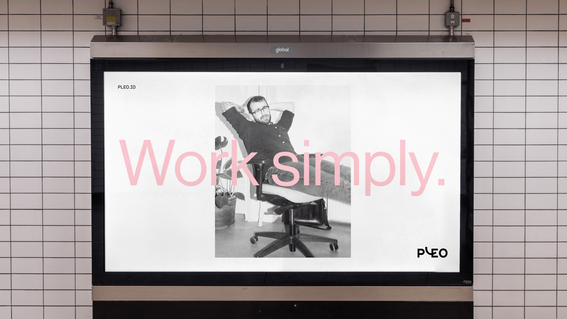 Pleo应用006
