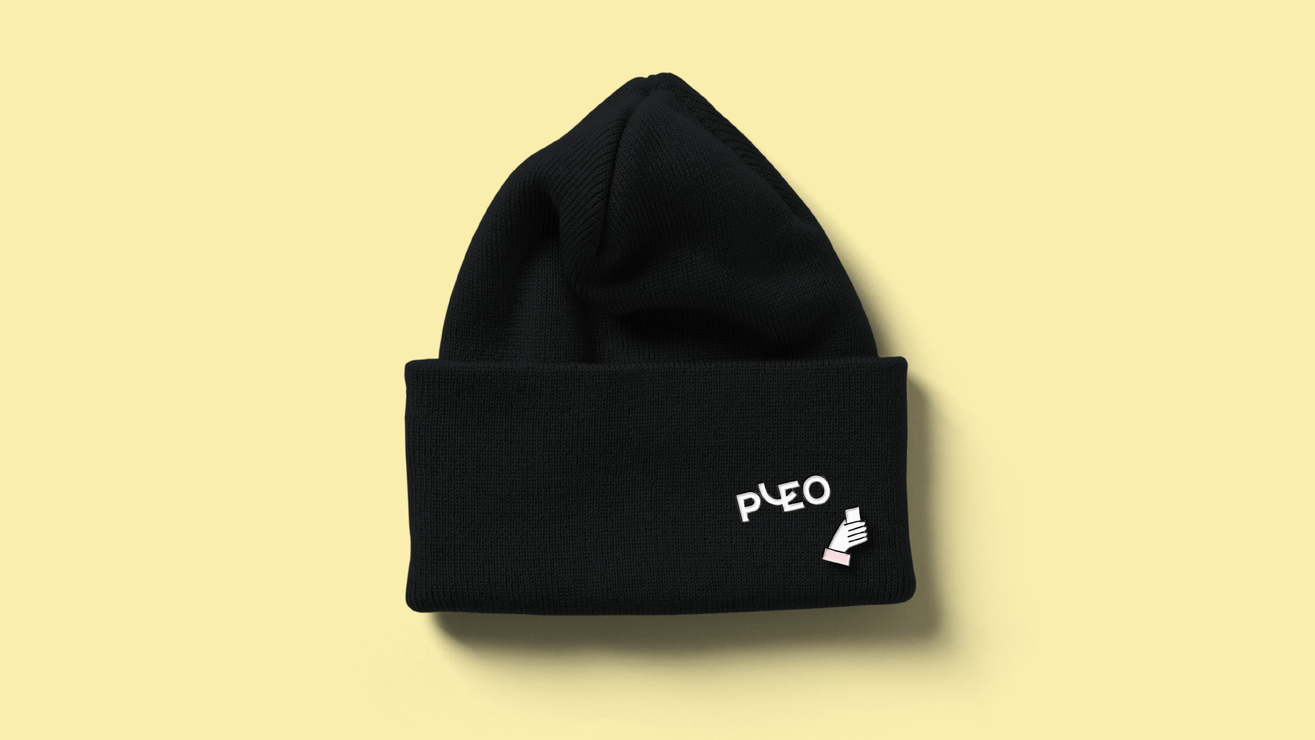 Pleo应用010
