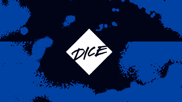DICE音乐迷团队标志及vi设计