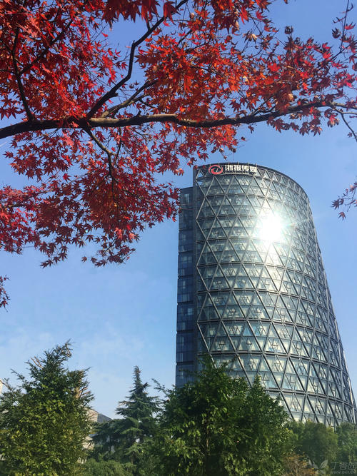 浙江日报报业集团品牌vi及logo设计