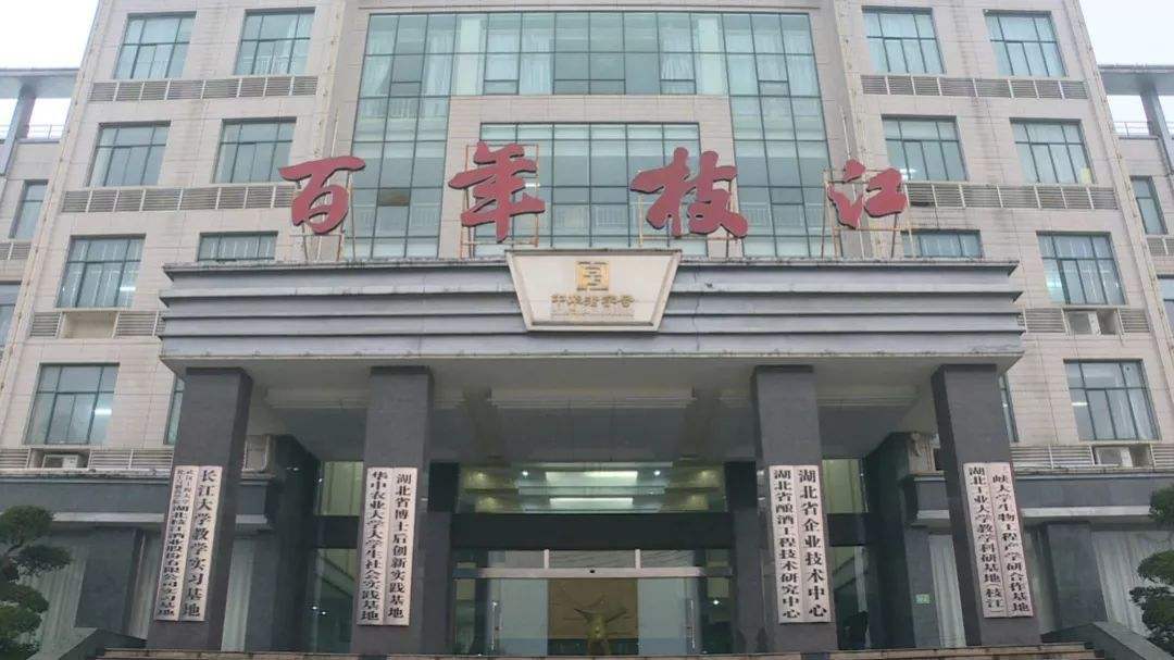 枝江酒业品牌