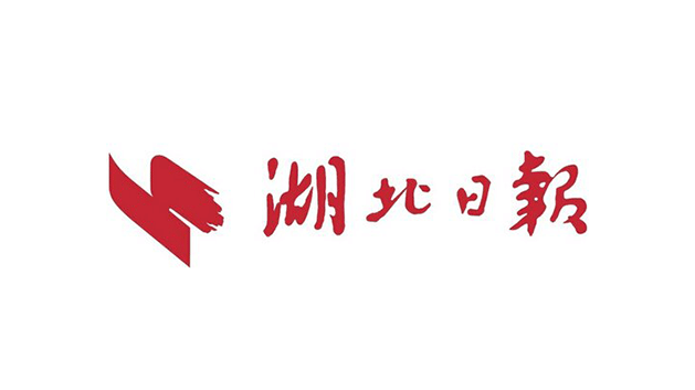 湖北日报传媒集团vi及logo设计