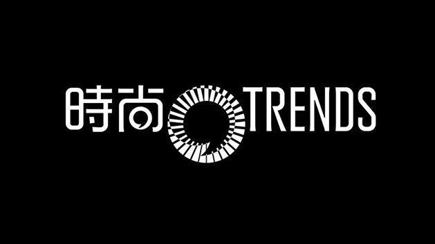 时尚集团品牌logo及vi设计
