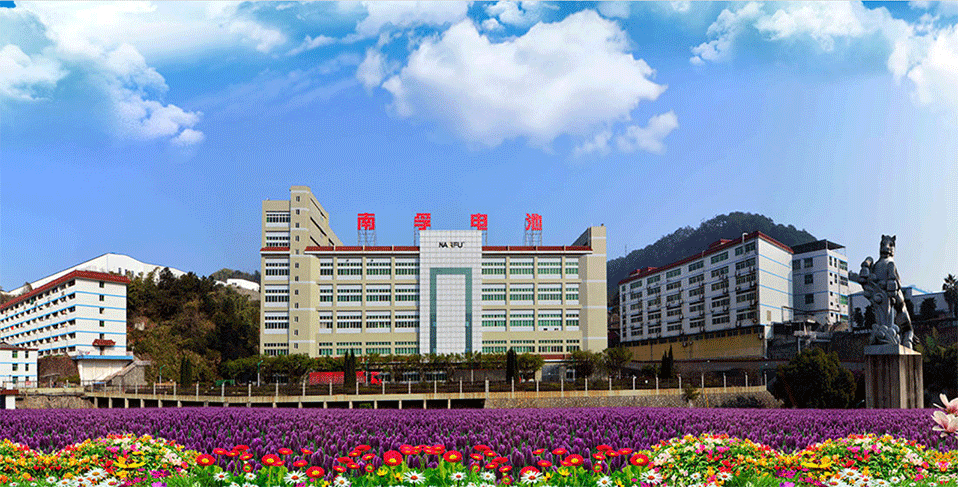 南孚电池有限公司 南孚电池有限公司