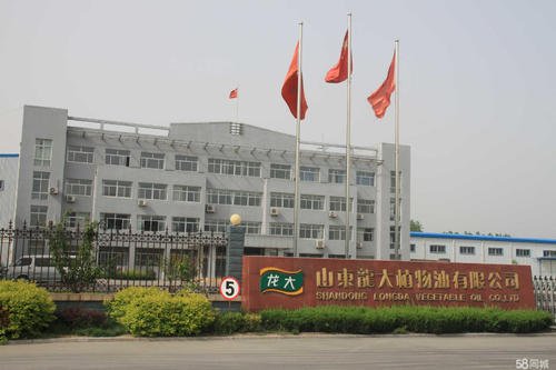 龙大食品集团logo设计及品牌vi