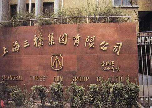 上海三枪集团logo设计及品牌VI-力英品牌设计顾问公司
