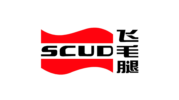 飞毛腿（福建）电子logo设计及品牌VI