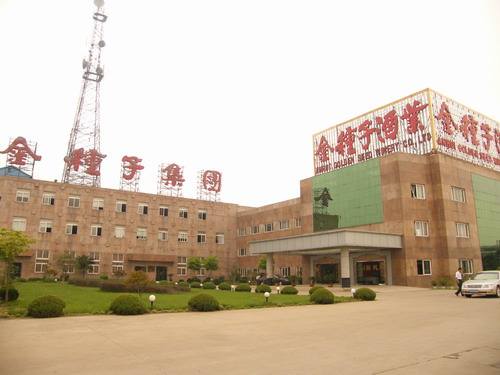 金种子集团 金种子集团