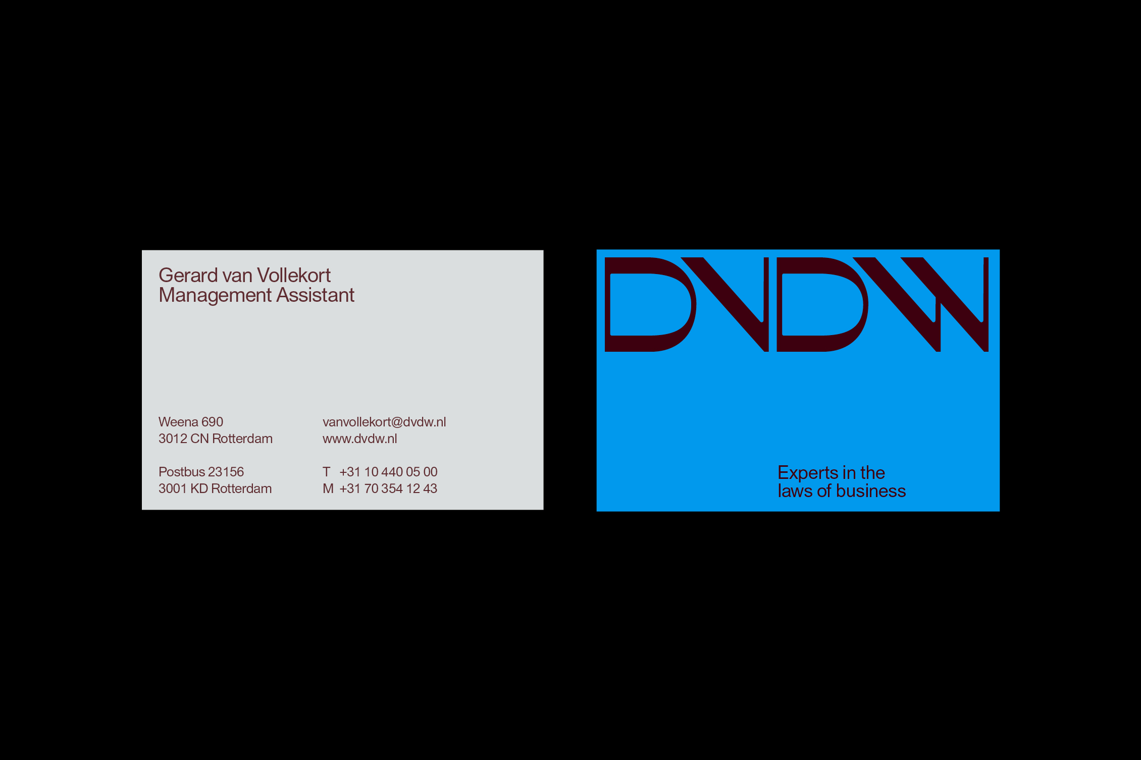 DVDW标志应用001