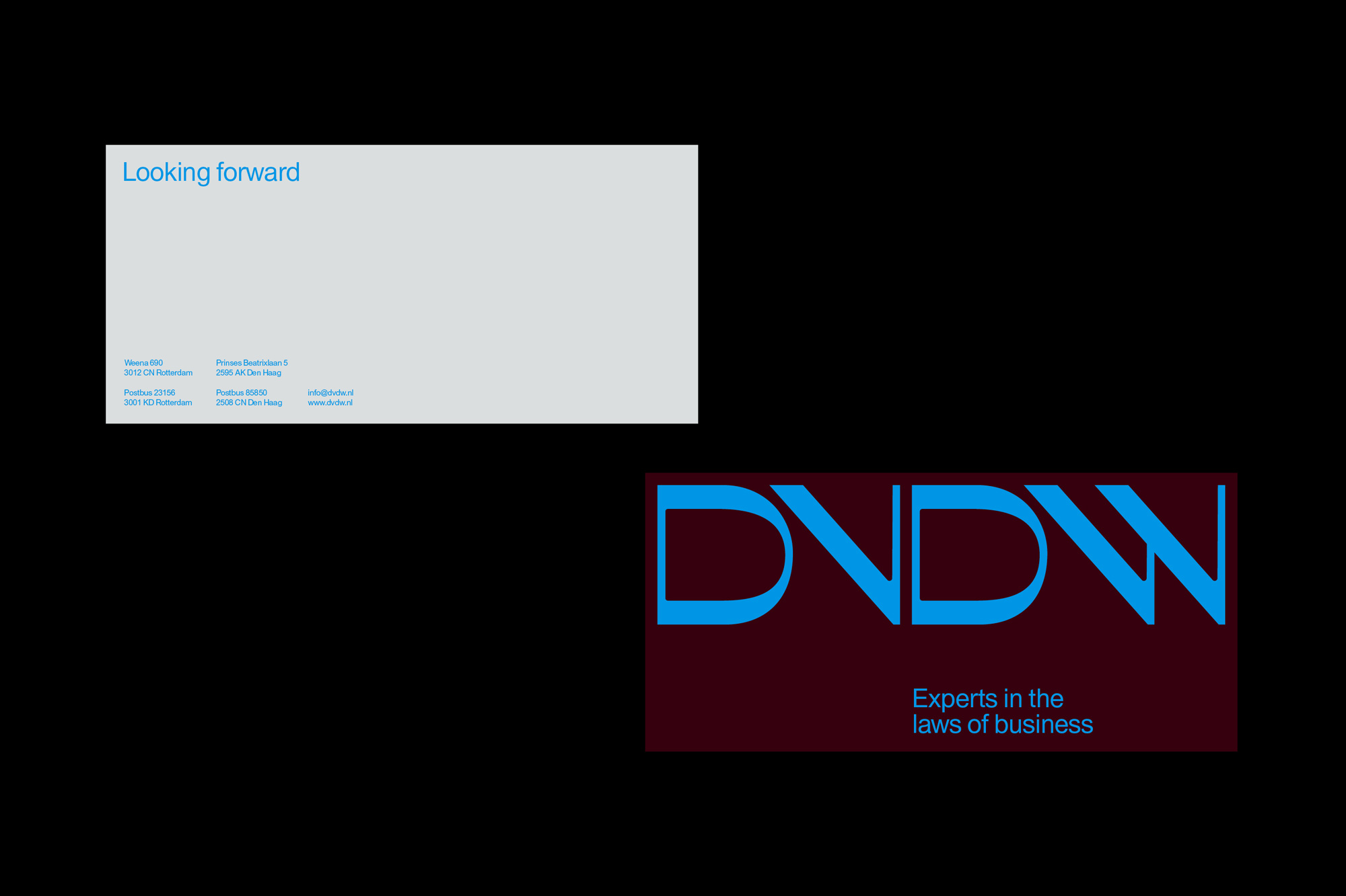 DVDW标志应用003